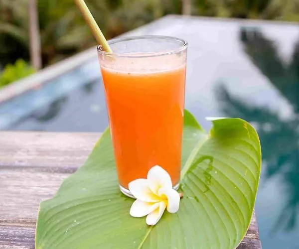 Amanuba Ersadeva * Pulukan